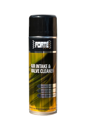 Forté Air Intake & Valve Cleaner 