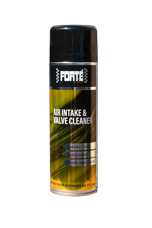 Forté Air Intake & Valve Cleaner 